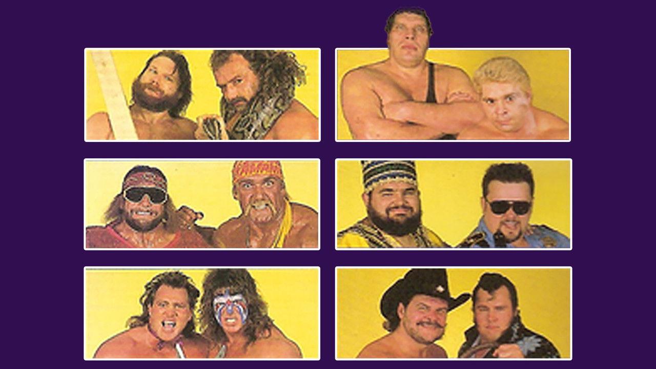 WWE Survivor Series 1988 backdrop