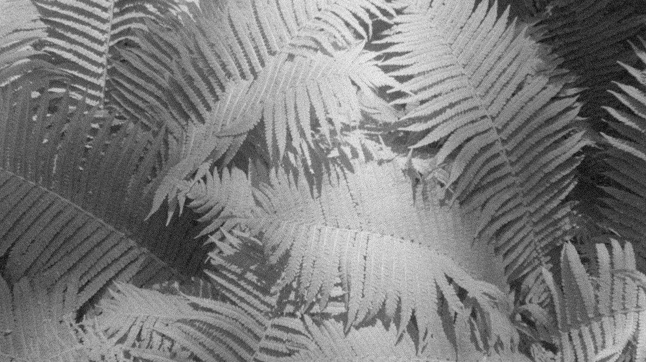 Vibrant Matter backdrop