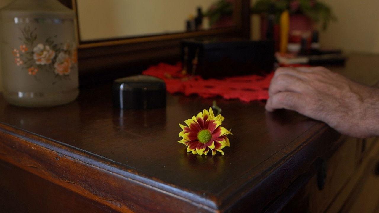 Before the Spring backdrop