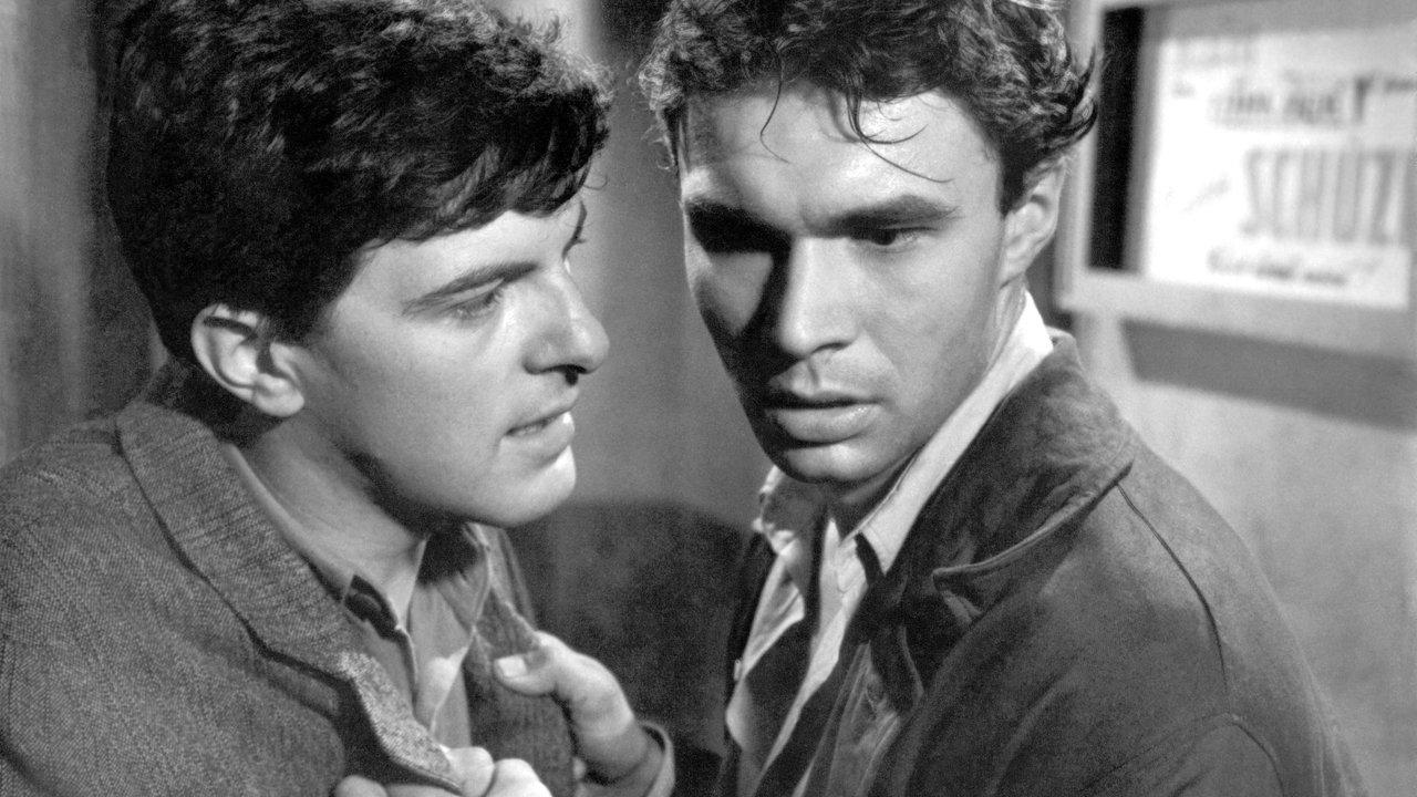 Passing Through a Thick Forest backdrop