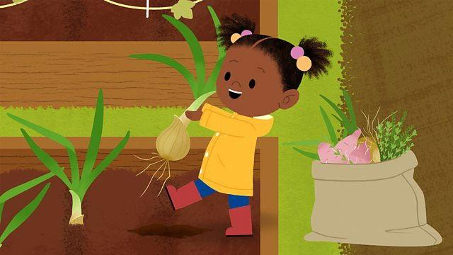 Autumn: It's Time to Harvest Vegetables