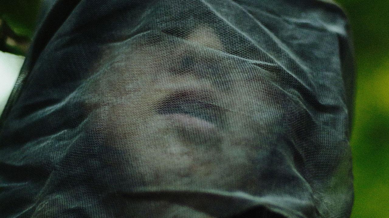 Base Station backdrop