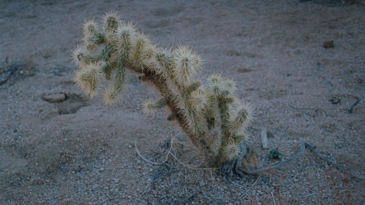 Still from Afar backdrop