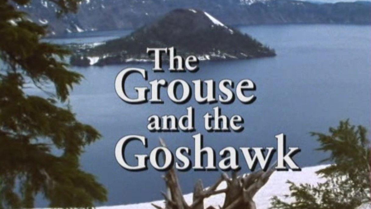 The Grouse and the Goshawk
