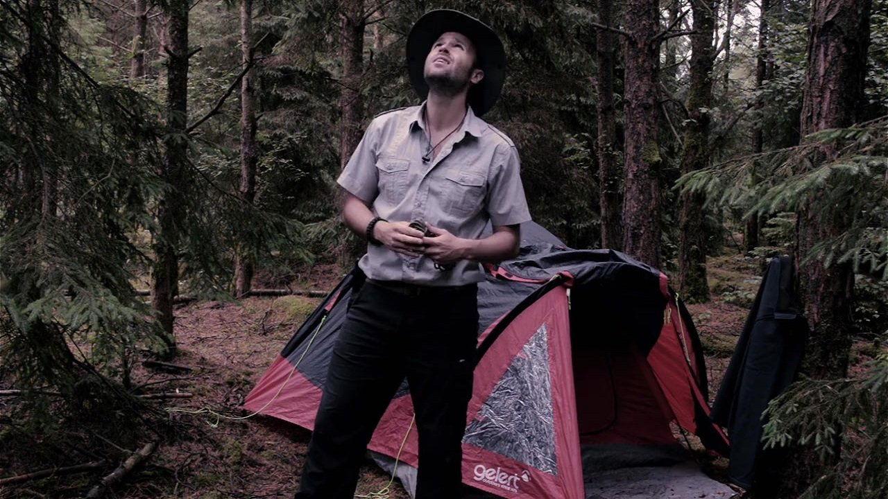 Territorial Behavior backdrop