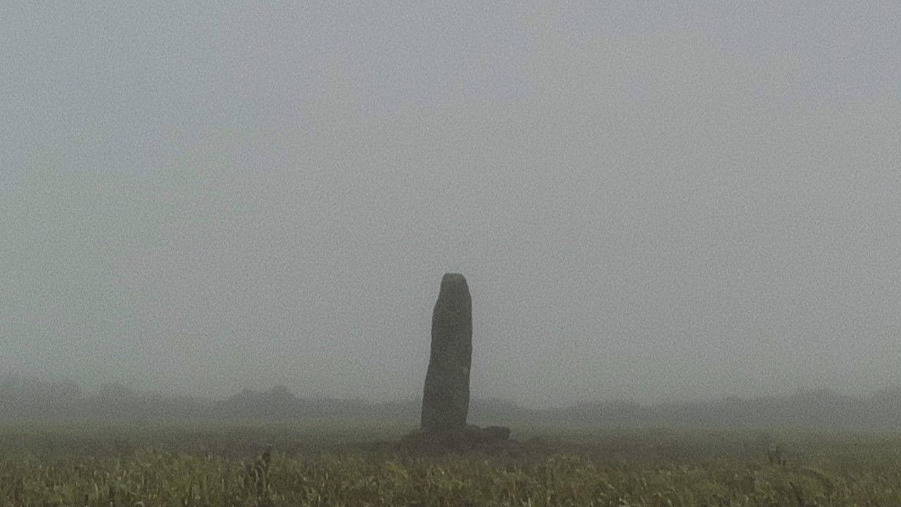 A Year in a Field backdrop