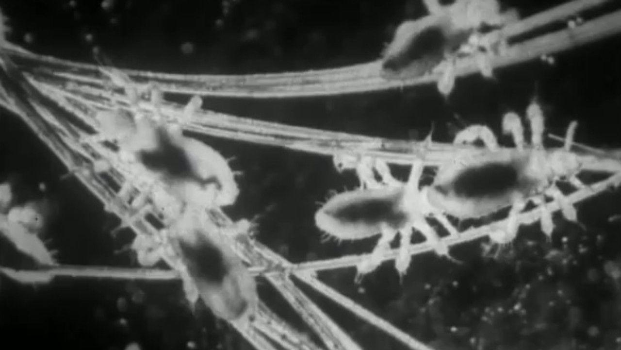 Unwanted Guests backdrop