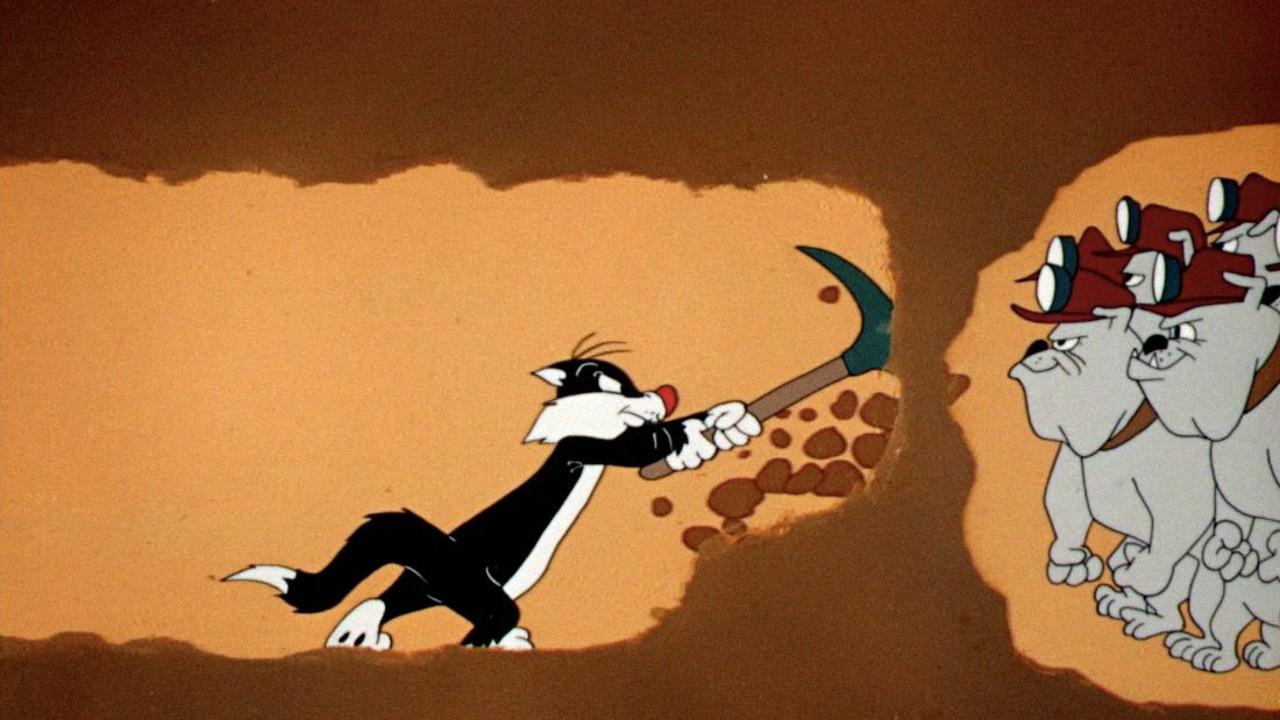 Dog Pounded backdrop