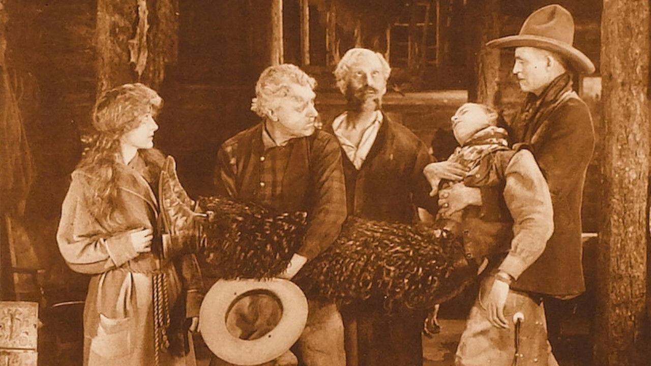 The Night Riders backdrop