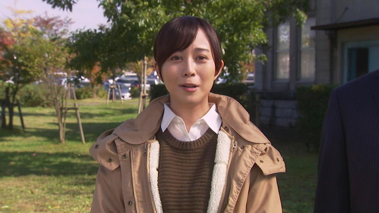 越後純情刑事・早乙女真子 backdrop