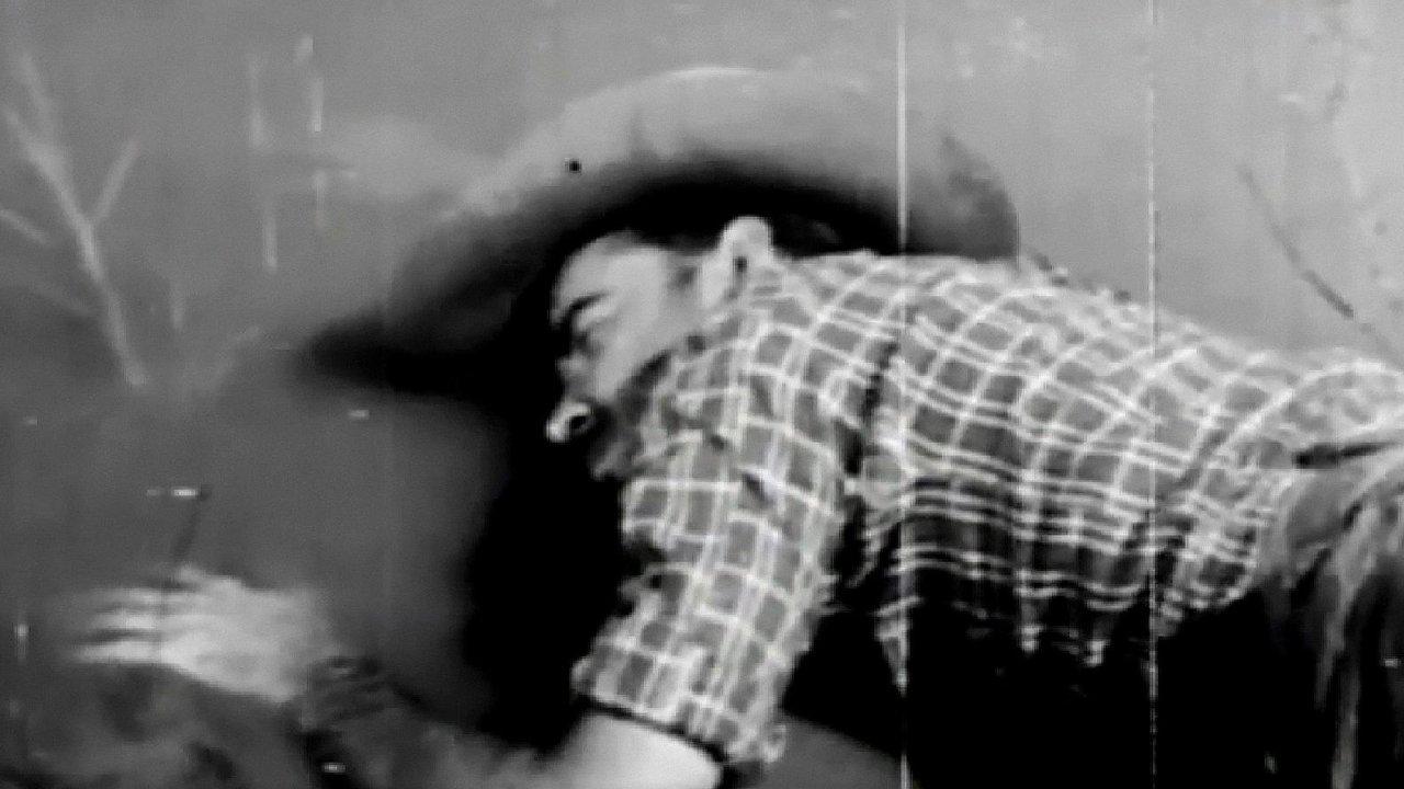 Adventurer's Fate backdrop