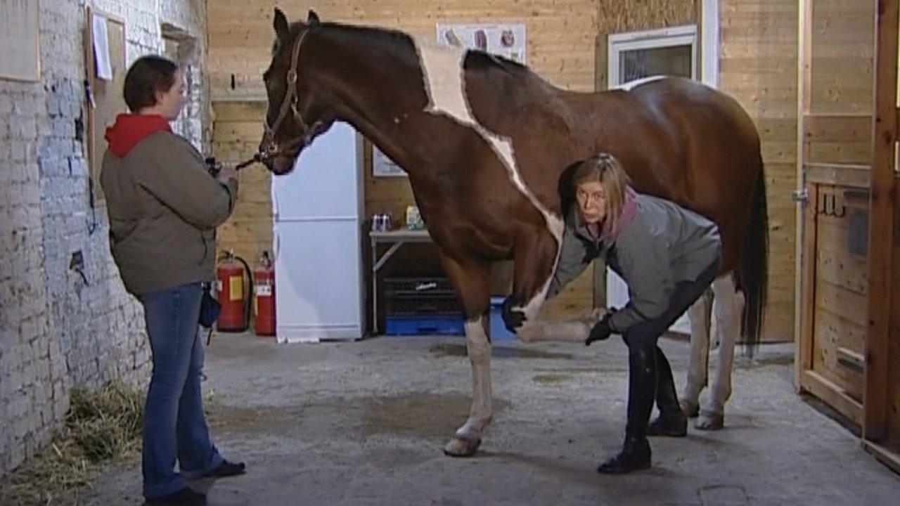 Rörelse utan Gränser backdrop