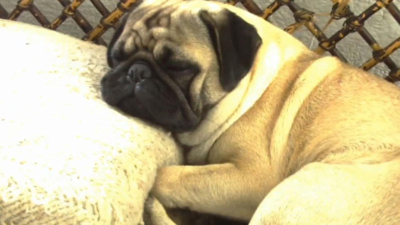 The hell in the sky backdrop