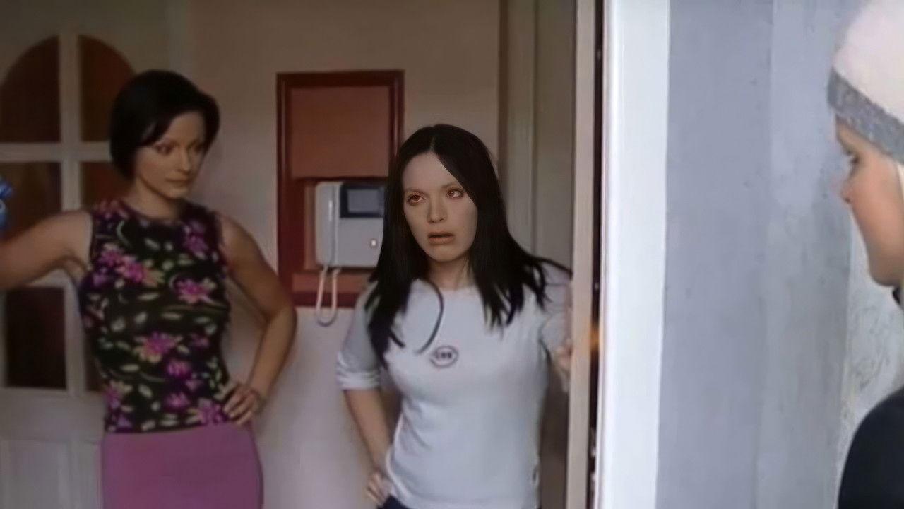 Pink Velvet backdrop