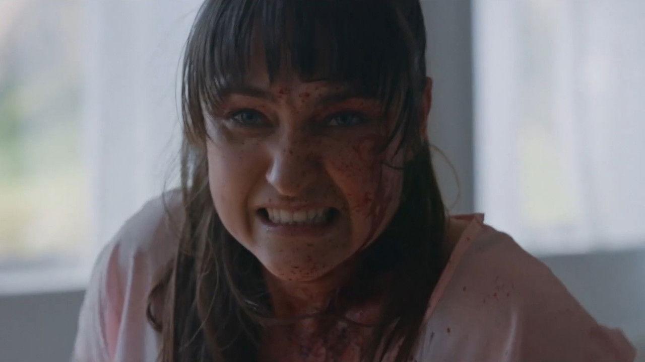 Downward Facing Dogs backdrop