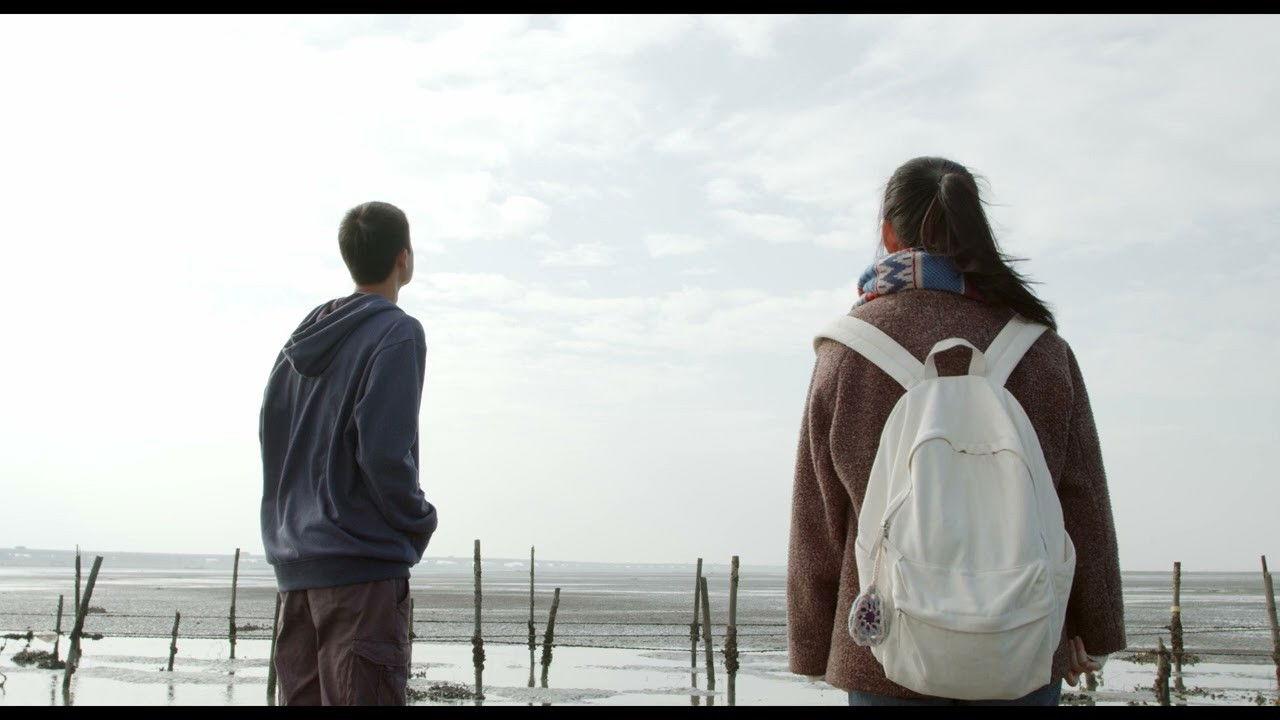 Cattle, Oyster and Memories backdrop