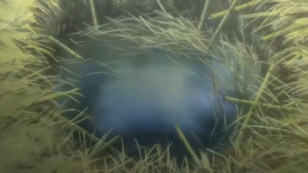 The Deep Hole of Imperfection