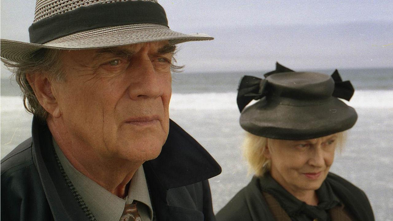 The Émigré: Everything is Different backdrop