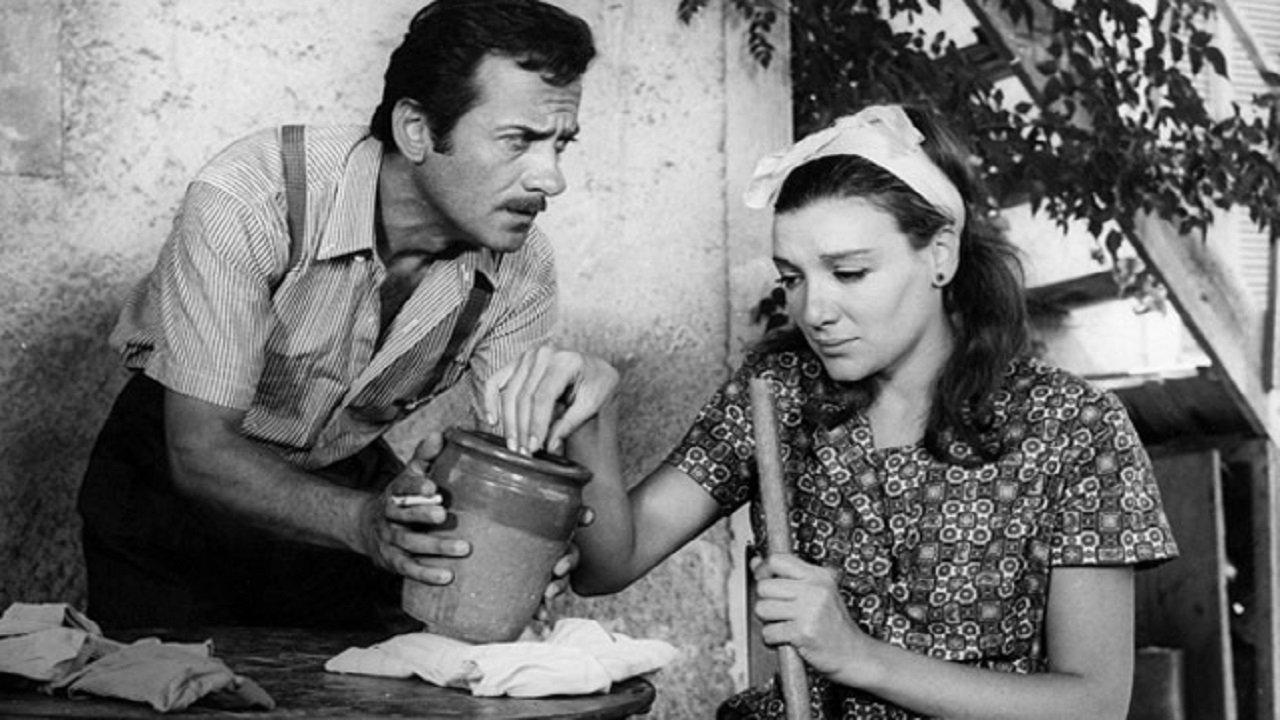 Horafa family backdrop