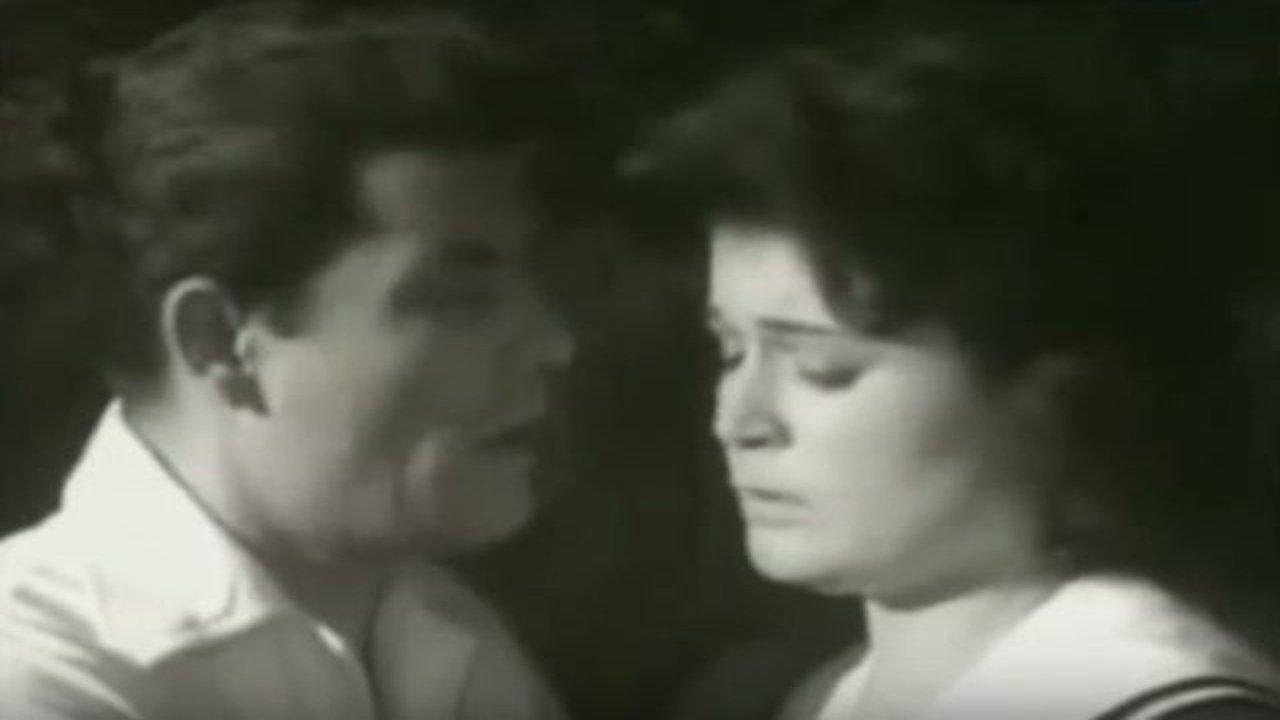 Bufakkar filli nassini backdrop