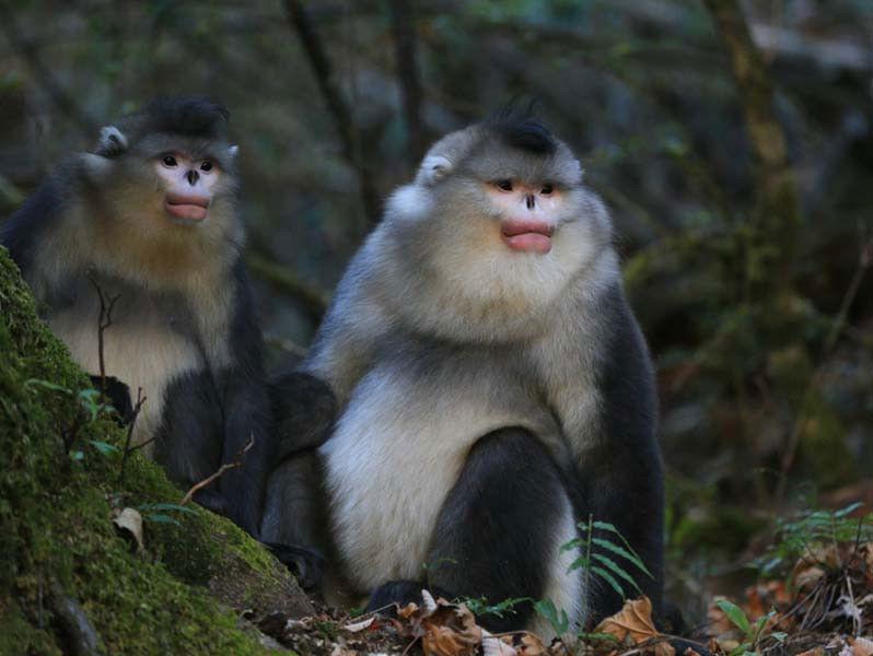 China: Roof of the World