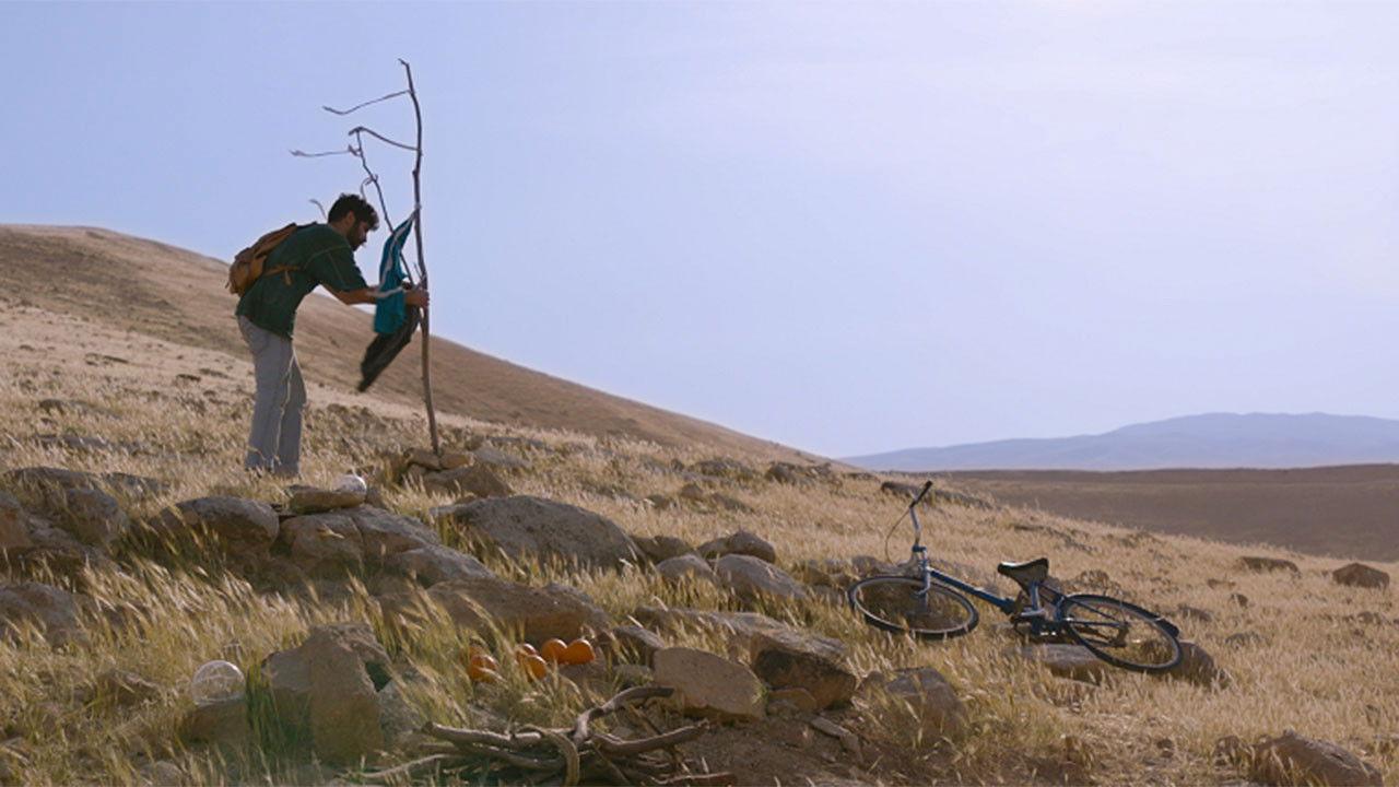 Horse with No Name backdrop