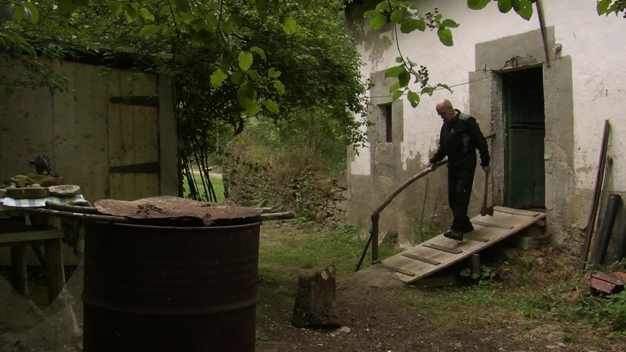 Atardeceres backdrop