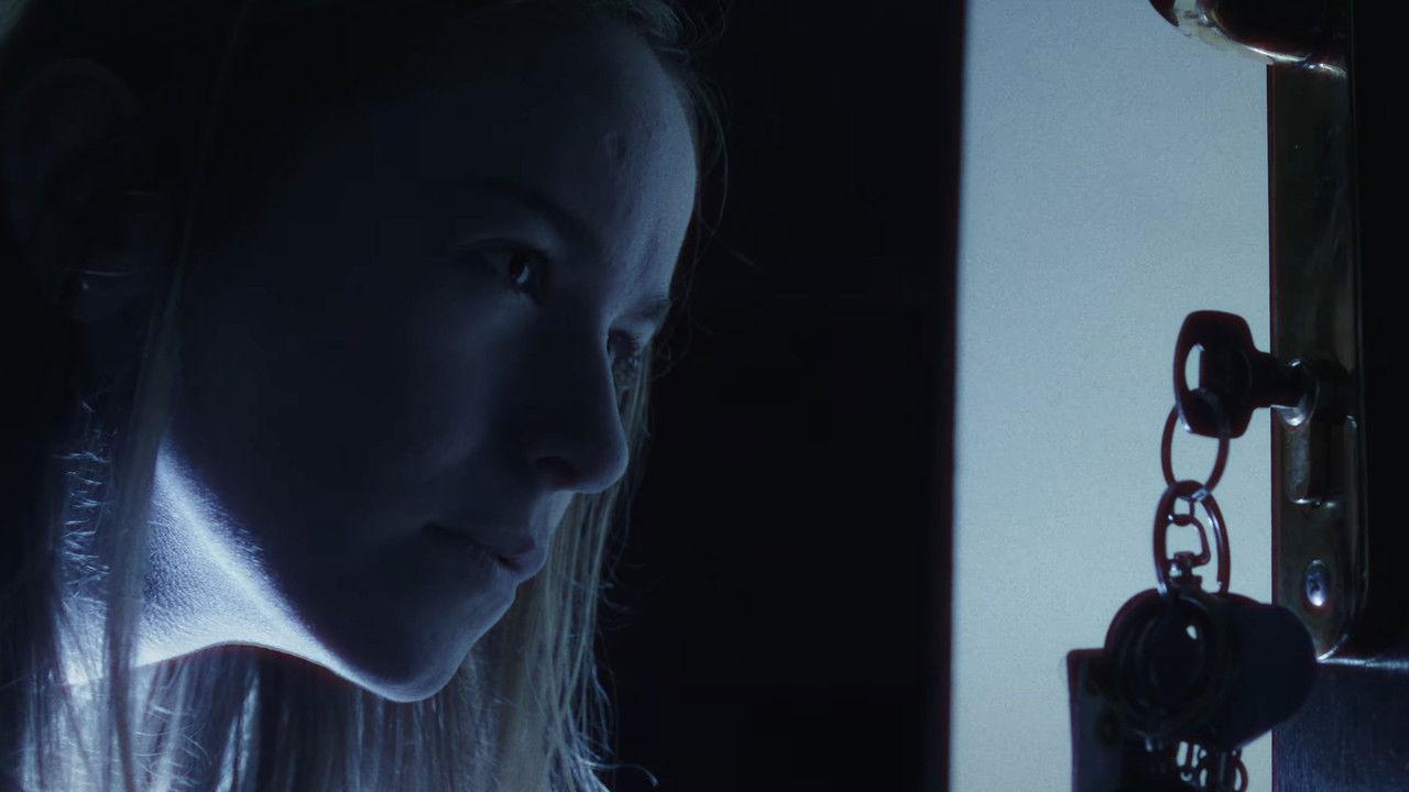 In The Shadows backdrop