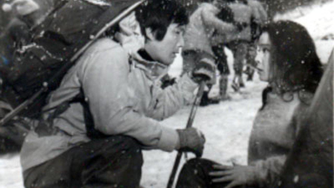 Bird of Paradise backdrop