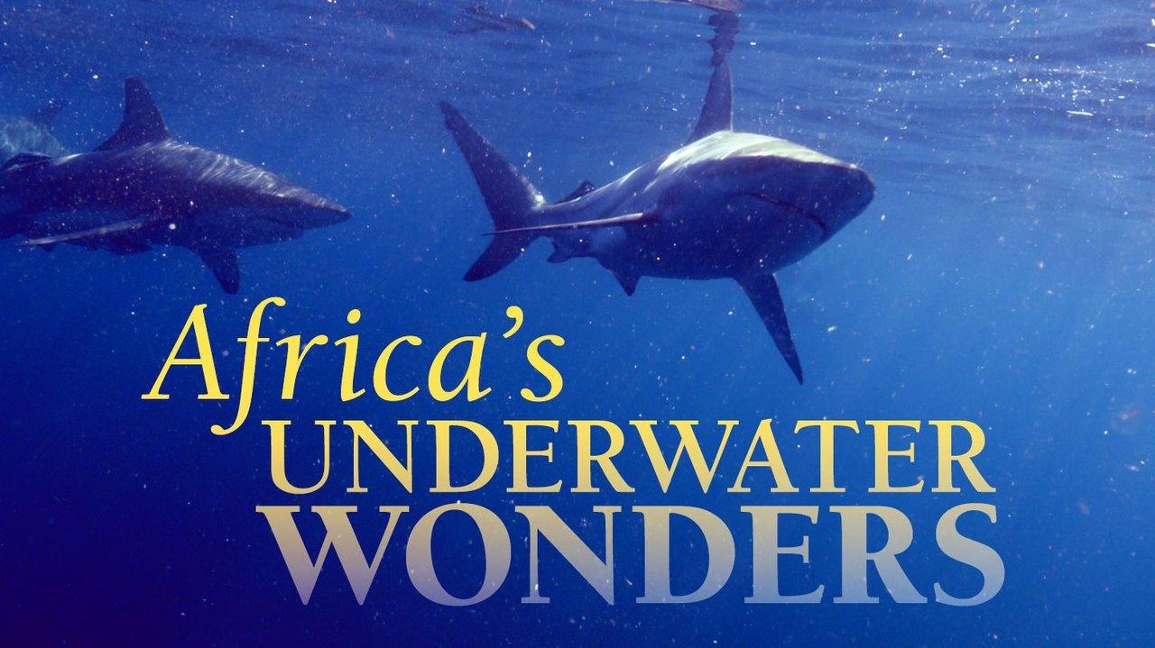 Africa's Underwater Wonders backdrop