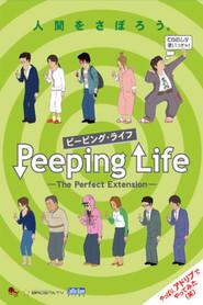 The Perfect Extension