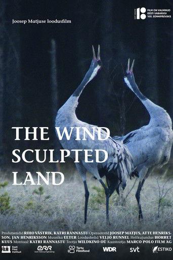 The Wind Sculpted Land film afişi