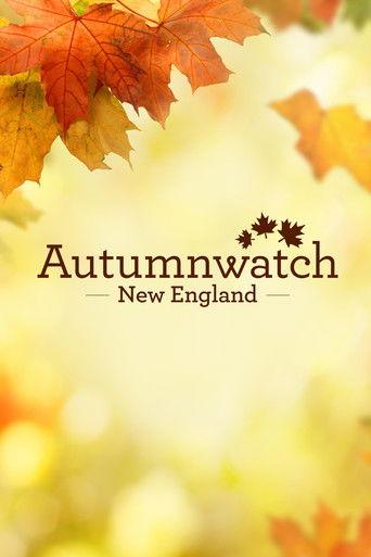 Autumnwatch New England dizi afişi