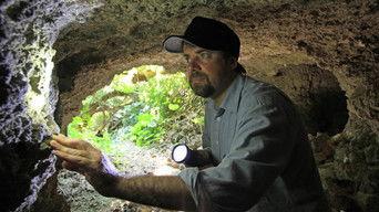 Battle For The Pacific