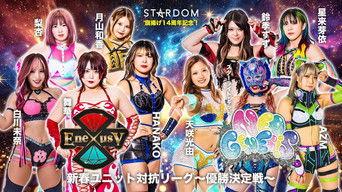 Stardom 14th Founding Anniversary ~ New Year Unit Competition League Championship Match