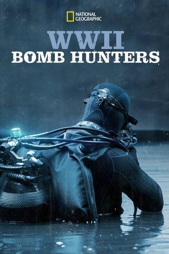 WWII Bomb Hunters film afişi