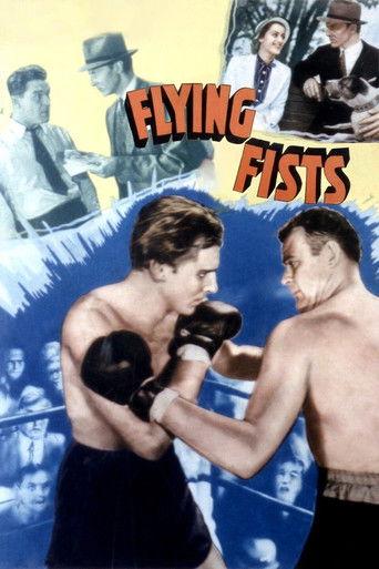 Flying Fists film afişi
