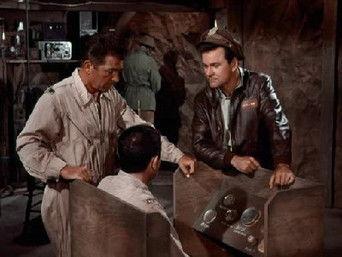 Hogan Gives a Birthday Party