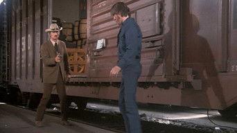 Murder Arena (1) (or The Concrete Corral)