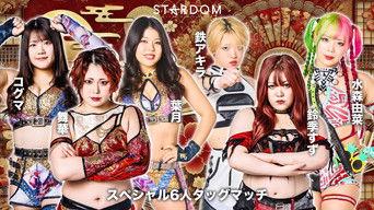 Stardom Golden Week Fight Tour 2025 in Fukuoka