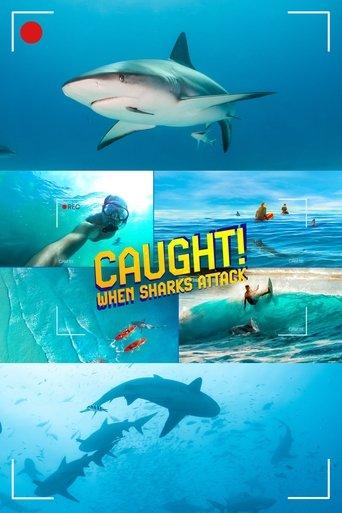 Caught! When Sharks Attack film afişi