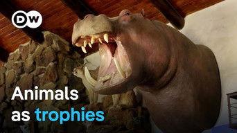 Trophy hunting