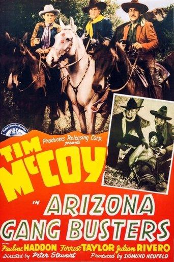 Arizona Gang Busters film afişi
