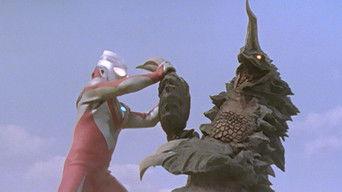 The Closed Amusement Park