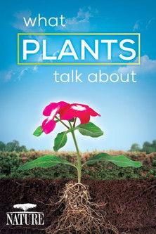 What Plants Talk About film afişi