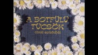 Botfülű tücsök