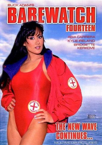 Babewatch 14 film afişi