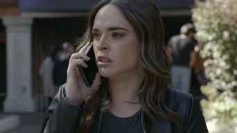 Dos pájaros de un tiro