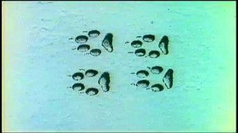 Myths and Superstitions