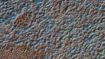 Your Screen Is Covered In Human Blood